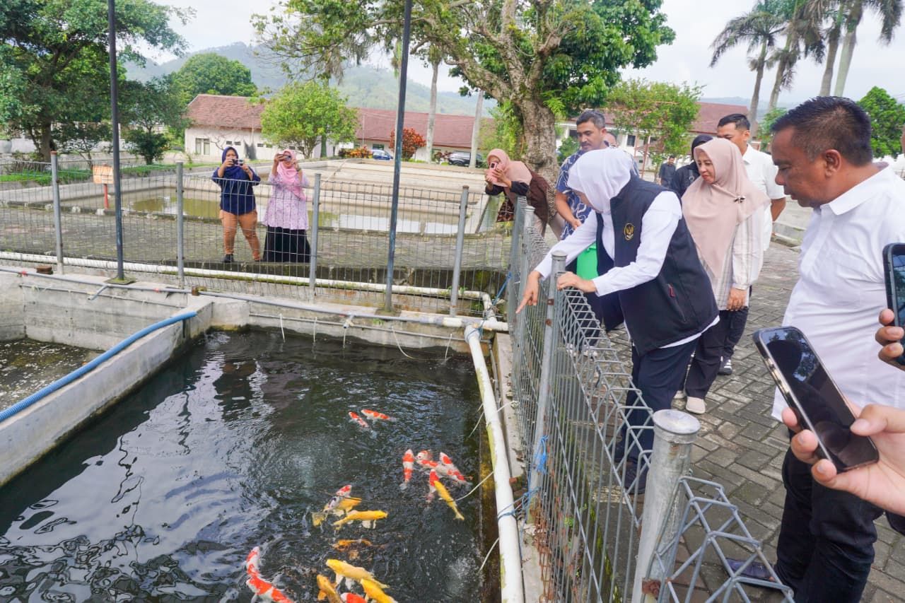 ThumbnailKhofifah Tinjau Instalasi Budidaya Ikan Mas Punten DKP Jatim di Kota Batu Khofifah Tinjau Instalasi Budidaya Ikan Mas Punten DKP Jatim di Kota Batu